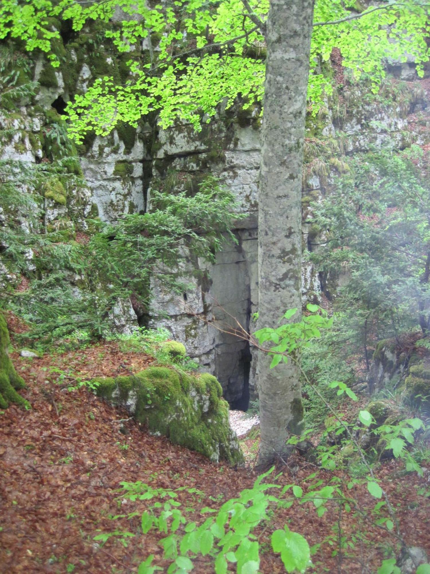 B&B Le Grazie Piaggine Eksteriør billede